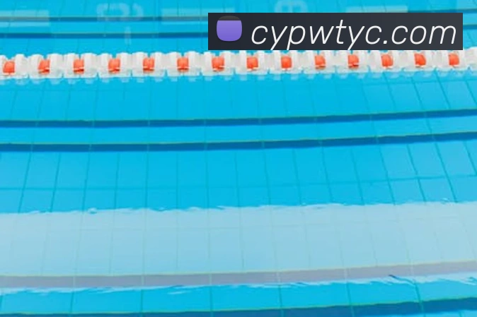 太阳城网站发展历程